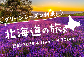 【ホテル エミオン 札幌】グリーンシーズン到来の北海道で美しい自然を満喫♪