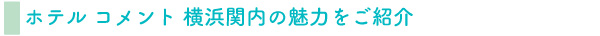 コメントの魅力600.jpg