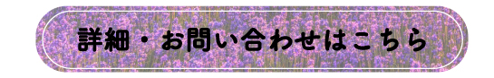 詳細・お問い合わせはこちら2.jpg