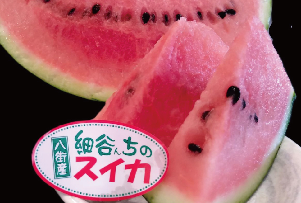 数量限定・売切れ次第終了！千葉県八街産 スイカ Lサイズ１玉