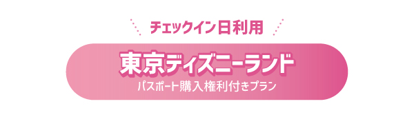 チェックイン日利用 東京ディズニーリゾート 1デーパスポート購入権利付きプラン キャンペーン 夢なび スターツのポイントサイト