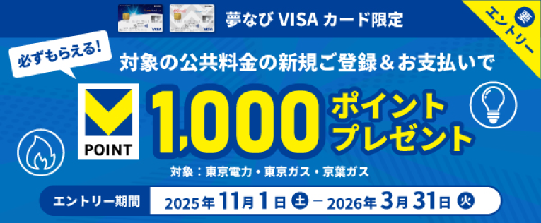 夢なびVISAカード限定ポイントプレゼント